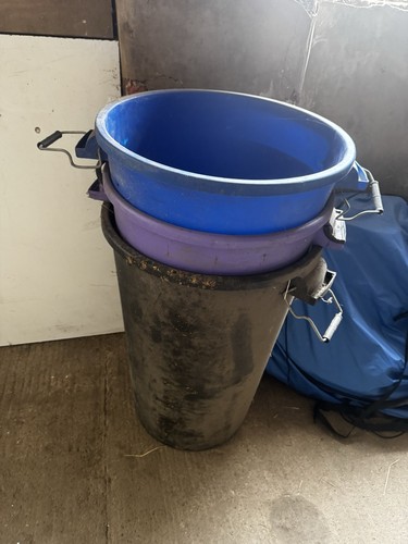 Horse feed bins - horse,