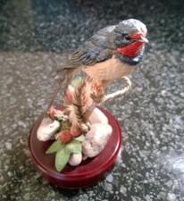 Country Artists Swallow On