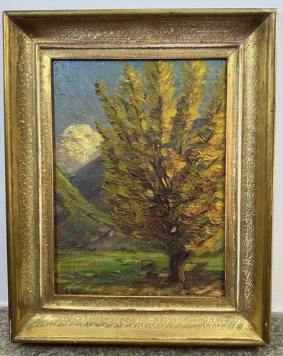 Oil canvas signed - on,