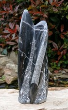 Freestanding orthoceras fossil - freestanding,