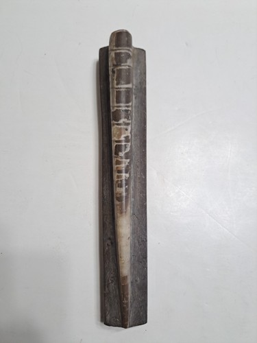 Chinese sinhorn horn snail - horn,
