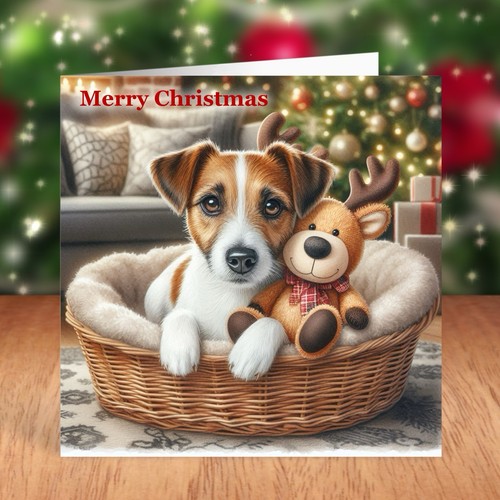 Jack russell terrier dog - jack,