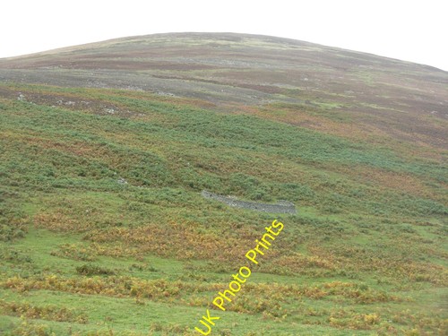 Photo 12x8 sheep shelter - photo,