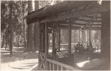 Veranda at Big Tree Lodge