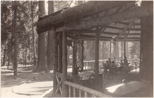 Veranda big tree lodge - big,