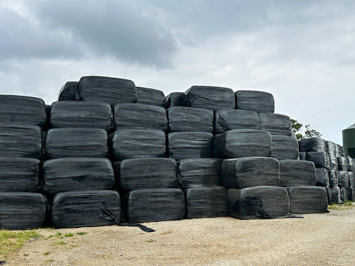 Haylage wrapped black - haylage,