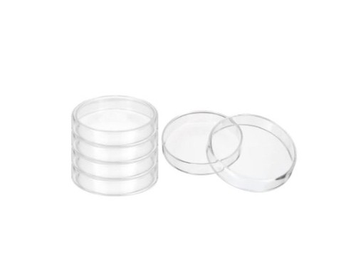 Glass petri dish 100mm x - ,