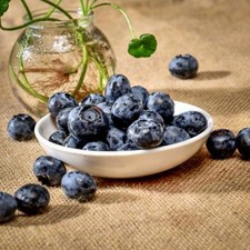 20Pcs Artificial Blueberry