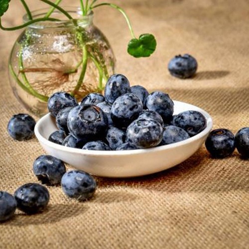 20pcs artificial blueberry - artificial,