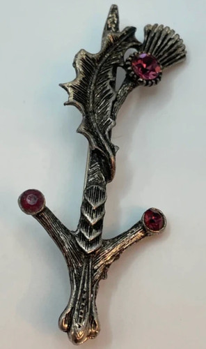 Vintage scottish thistle - vintage,