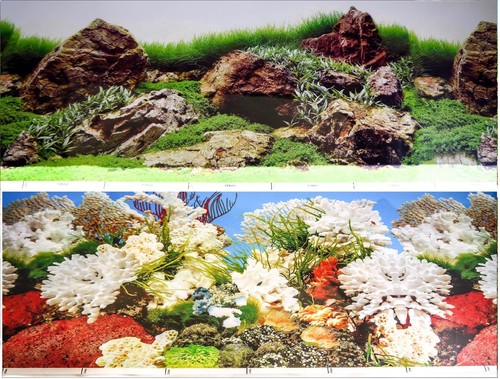 Aquarium fish tank background - aquarium,