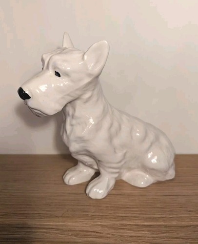 White scottish terrier - white,