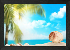 Beach with shellfish Framed