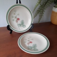 2 x Wedgwood RASPBERRY CANE