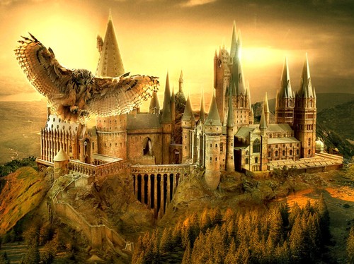 Harry potter hogwarts school - harry,