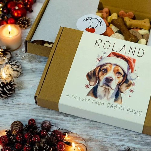Beagle dog christmas gift - beagle,