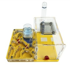 Acrylic BIO Ant Nest