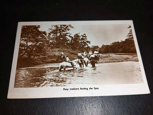Pony trekkers fording - trekkers,