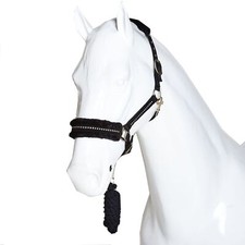 Horse Headcollar Padded Nylon