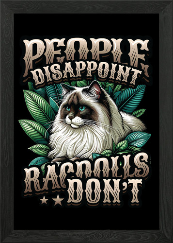 Ragdoll cat owner - owner,