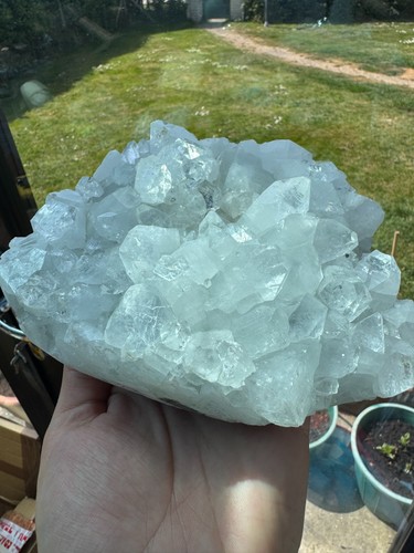 Large apophyllite cluster - large,