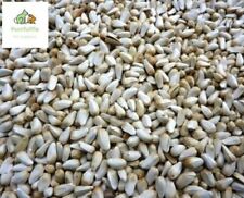 1kg / 3kg / 15kg WHITE