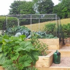 Vegetable Fruit Cages Erected Height 1.2m Different Choice Of Netting & Size