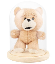 Glass Display Cover Dome