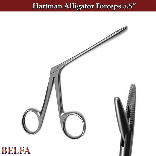 Dental alligator forceps - forceps, 5.5"