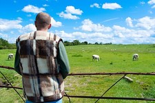 Unisex Gilet Merino Wool Hypo