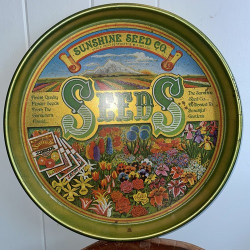 Sunshine seed serving tray - seed,