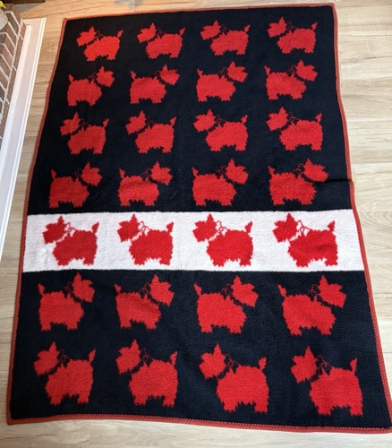 Scottish terrier dog - terrier,