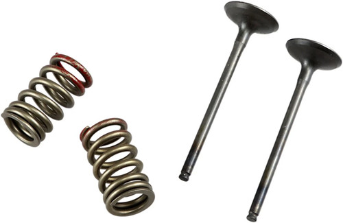Prox valve spring - valve, ex/spring