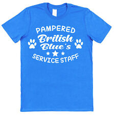 PAMPERED BRITISH BLUE CAT'S