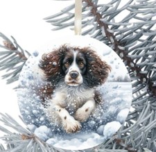 Springer Spaniel Hanging