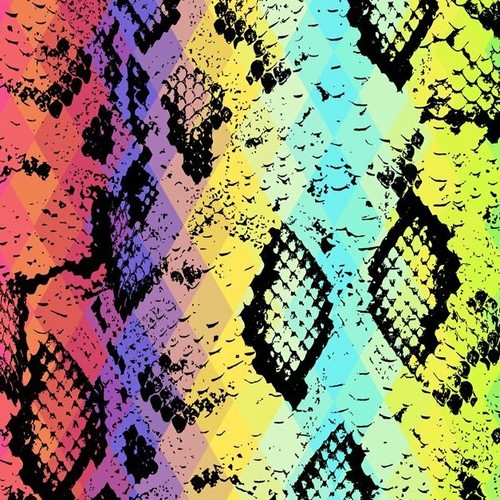 Fs926 rainbow snake skin - rainbow,