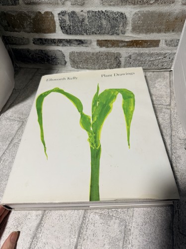 Ellsworth kelly plant - ellsworth,