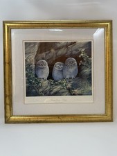 “British Owlets - Little”