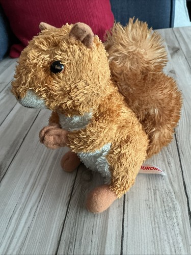 Aurora red squirrel - red,