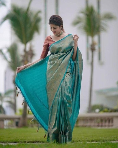 Traditional party wear - party, soft