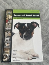 Parson Jack Russell Terrier