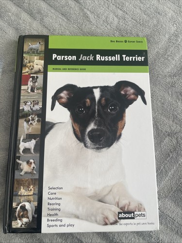 Parson jack russell - jack,