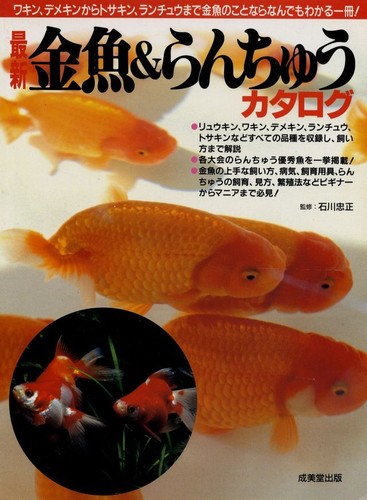 Japanese goldfish kingyo - goldfish,
