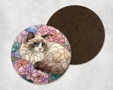 Cute Ragdoll Cat Kitten