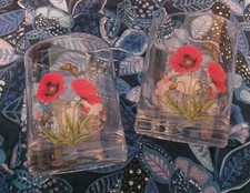 2 Portmeirion Tumbler Glasses