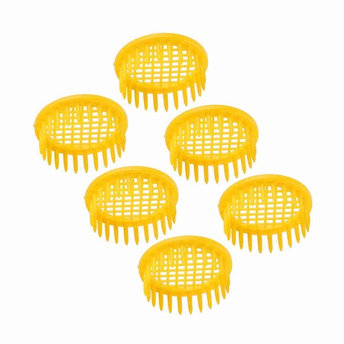 Pcs queen bee - pcs, box
