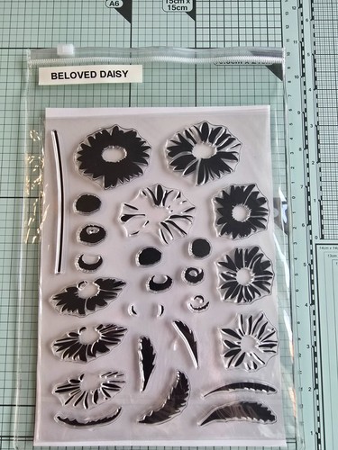 Altenew beloved daisy - beloved, 6x8