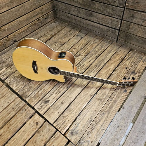 Electro acoustic guitar - electro,