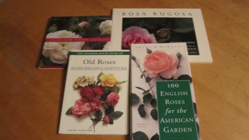 Lot old heirloom - on,