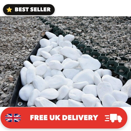 Trans pal decorative marble - decorative,